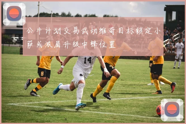 公牛计划交易武切维奇目标锁定小萨或浓眉升级中锋位置