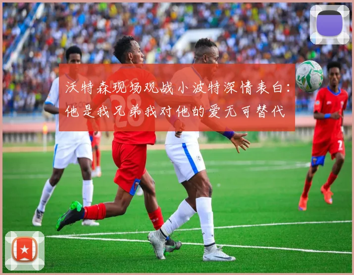 沃特森现场观战小波特深情表白：他是我兄弟我对他的爱无可替代