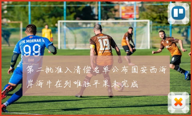 第二批准入清偿名单公布国安西海岸海牛在列唯独平果未完成