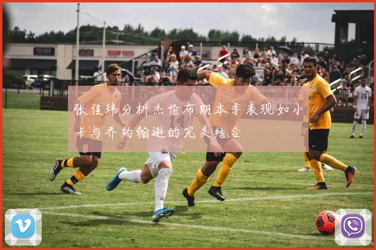 张佳玮分析杰伦布朗本季表现如小卡与乔约翰逊的完美结合